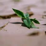 The Impact of Climate Change on Property Markets