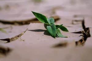 The Impact of Climate Change on Property Markets