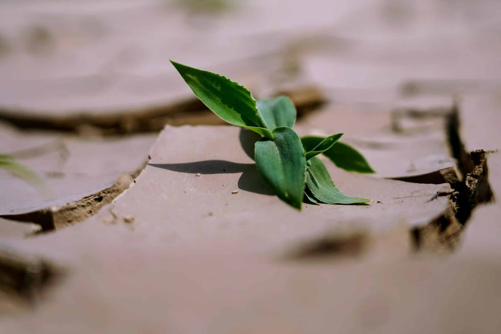 The Impact of Climate Change on Property Markets