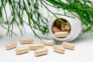 Holistic Medicine Through Food: How Nutrition Impacts Health