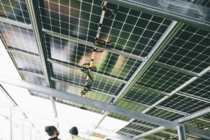 Renewable Energy Careers: Powering the Future of Work