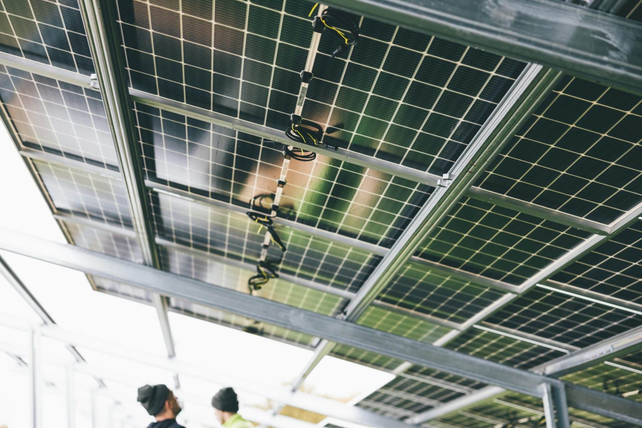 Renewable Energy Careers: Powering the Future of Work