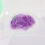 The Era of AI Brains: Creating Your Personal Digital Memory Bank