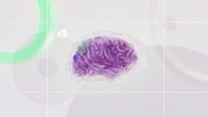The Era of AI Brains: Creating Your Personal Digital Memory Bank