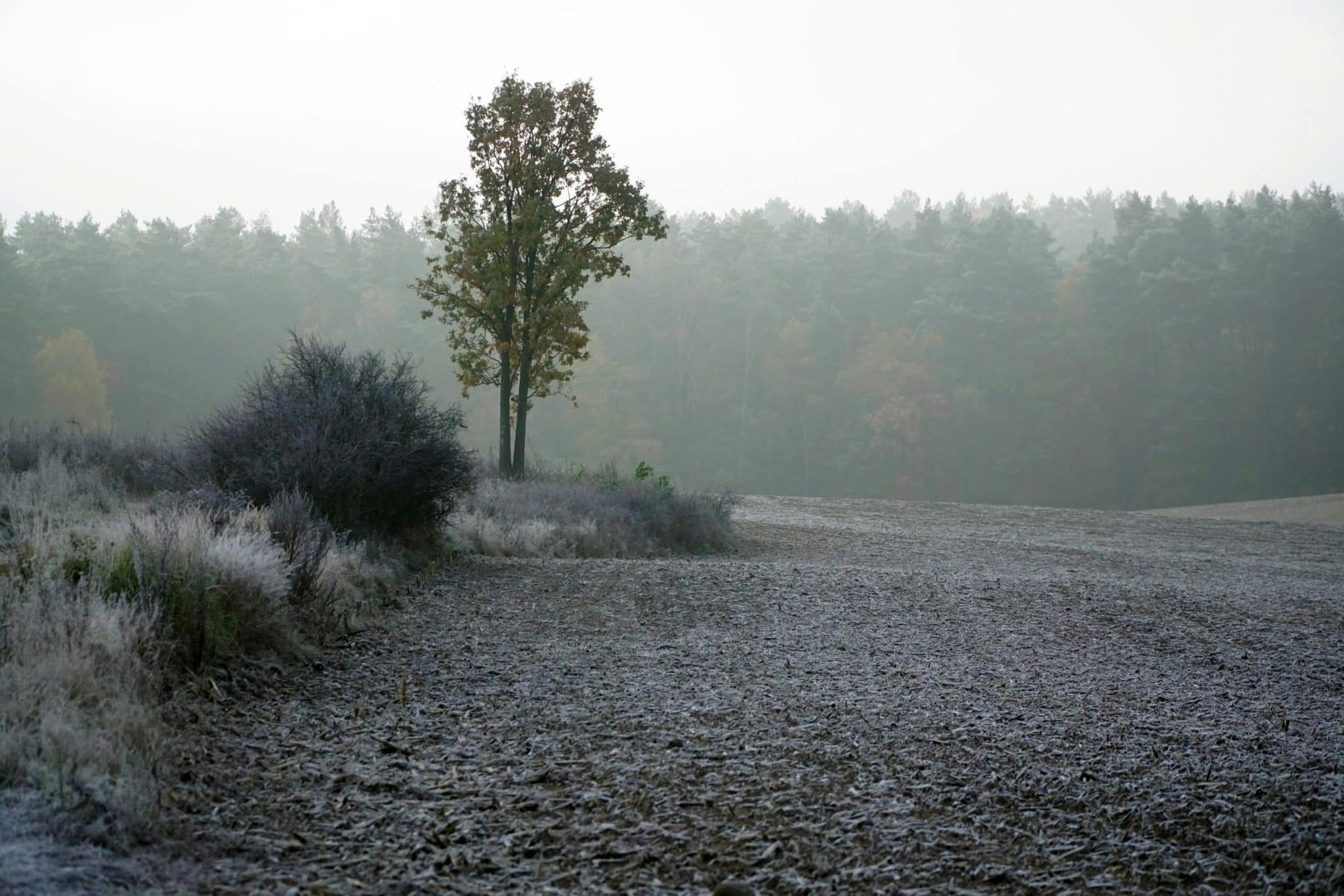 Fall in New York's Hudson Valley: A Road Trip Through Autumn Colors