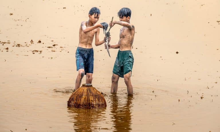 Cultural Intelligence: A Must-Have Skill for Global Careers