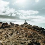 Outdoor Adventures in Billings: Montana's Gateway to Wilderness