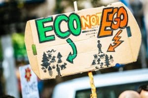 Climate-Friendly Foods: Reducing Your Carbon Footprint