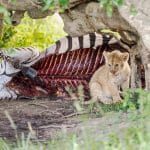 Enchanting Experiences in Aukštaitija National Park