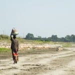 Regenerative Agriculture: A Path to Sustainable Farming