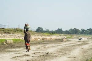 Regenerative Agriculture: A Path to Sustainable Farming