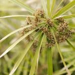 Family-Friendly Adventures: Kid-Approved Vacation Ideas