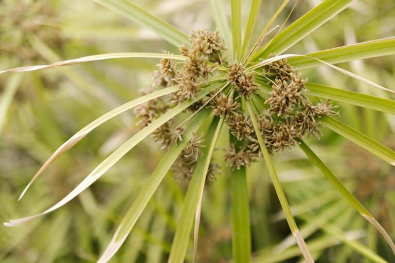 Family-Friendly Adventures: Kid-Approved Vacation Ideas