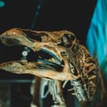 Click-and-Collect Evolution: How Retailers Are Perfecting the Experience