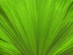 The Green Skills Gap: How to Prepare for Eco-Friendly Careers