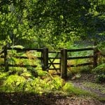 The Best Compact Campers for Weekend Warriors