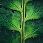 Bioethics Bootcamps: Navigating CRISPR Conversations in HS Biology