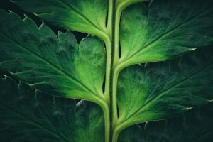 Bioethics Bootcamps: Navigating CRISPR Conversations in HS Biology