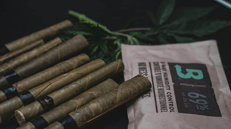 Solar Power for RVs: Achieving Energy Independence on the Road